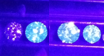 fluor_crop.png