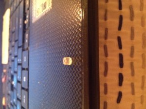 img_4035_1_.jpg