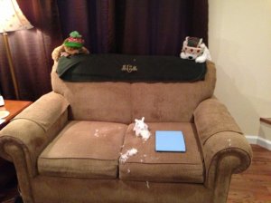 photo6a.jpg