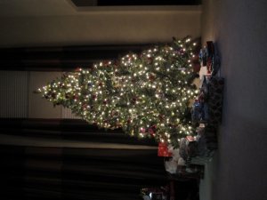img_0819.jpg