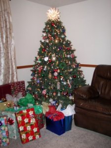 summer_fall_xmas_2012_035.jpg