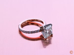 _12424.jpg