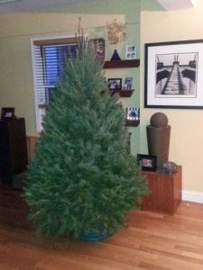ournakedchristmastreedec2013.jpg