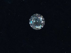 _12492.jpg
