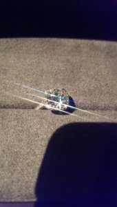 imag0253.jpg