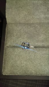 imag0257.jpg