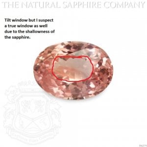 natural_sapphire_oval_padparadscha_pa2374_1-full.jpg