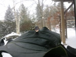 20131211_131912.jpg