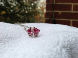 _12658.jpg