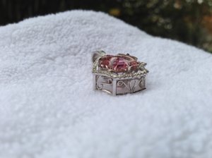 _12659.jpg