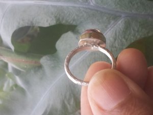 20131215_084908.jpg