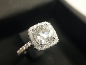 julia_ring_2.jpg julia_ring_2.jpg