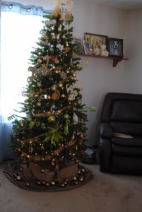 xmas849.jpg