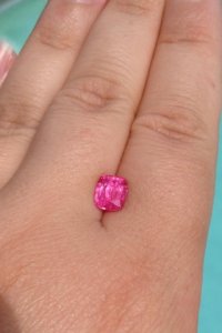 hot_pink2__2_.jpg hot_pink2__2_.jpg