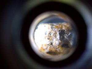 _13034.jpg