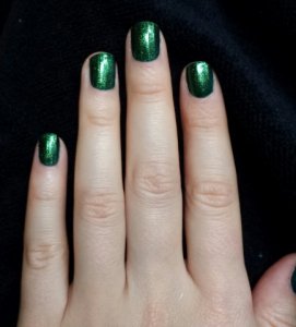 20131230_0.jpg