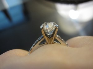 img_4548.jpg
