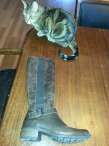 sideofbootshowingstrap.jpg