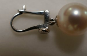 dsc01810.jpg