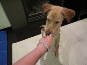 img_0066.jpg