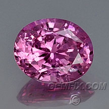 sapphire_pink_458.jpg sapphire_pink_458.jpg