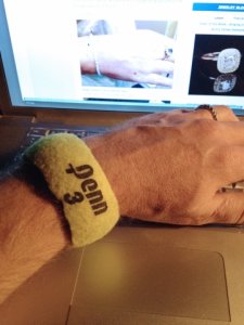 tennisbracelet.jpg