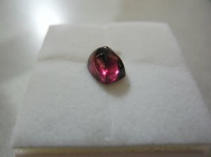 dscn1229.jpg