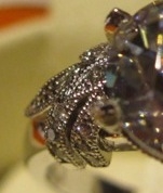 img4926eh.jpg