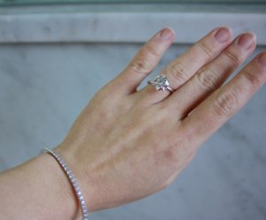 img_5113_-_version_2.jpg
