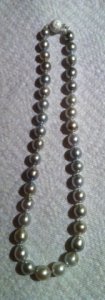 silver_tahitians_3.jpg silver_tahitians_3.jpg