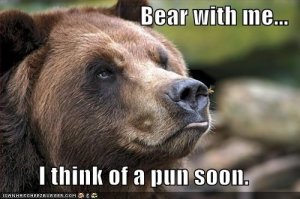 bearpun.jpg