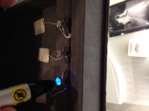 photo_3.jpeg