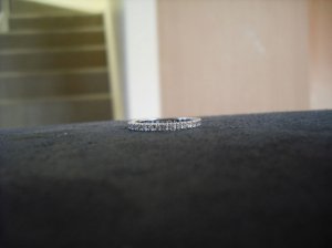 _13719.jpg