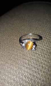 imag0437.jpg