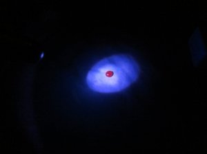 img_6297.jpg