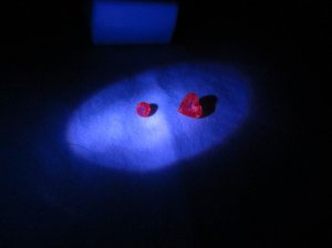 img_6298.jpg