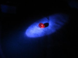 img_6299.jpg