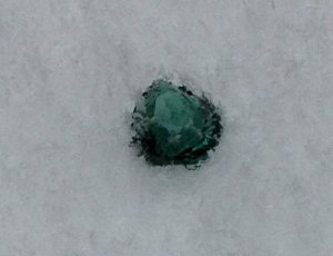 nigeriansnowpear.jpg nigeriansnowpear.jpg