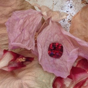 spinelflowery1.jpg
