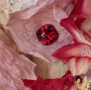 spinelflowery2.jpg