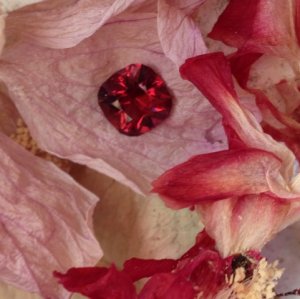 spinelflowery3.jpg