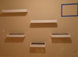 shelves_are_up.jpg