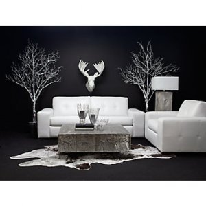 coffee_table_room_3.jpg