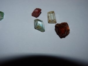 _14839.jpg