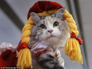 cathair.jpg