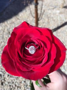 2014-02-16_1.jpg