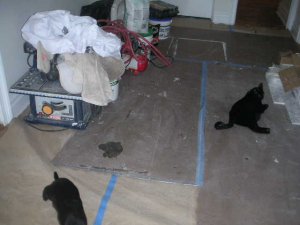PICT0395.JPG