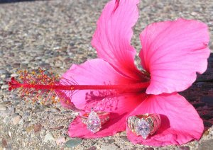 small_hibiscus-rings P7210734.JPG