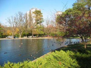 eden park pond.jpg