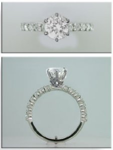 shared prong tiff style head 2.jpg